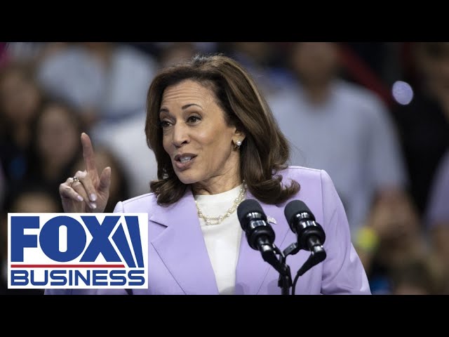 ⁣Kamala Harris has yet to get a popularity ‘bump’: Tudor Dixon