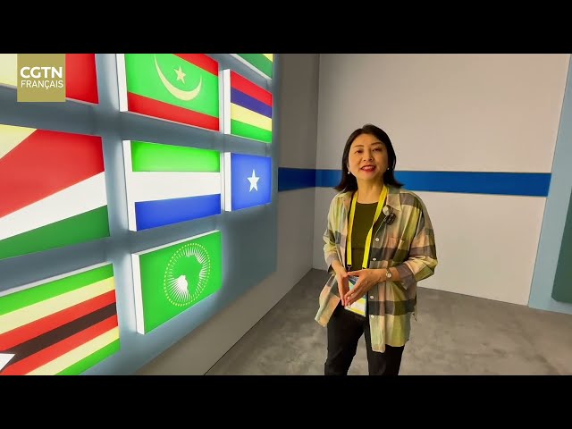 ⁣Plongée au cœur du FOCAC 2024 : rencontres et Coopération à Beijing #VLOG