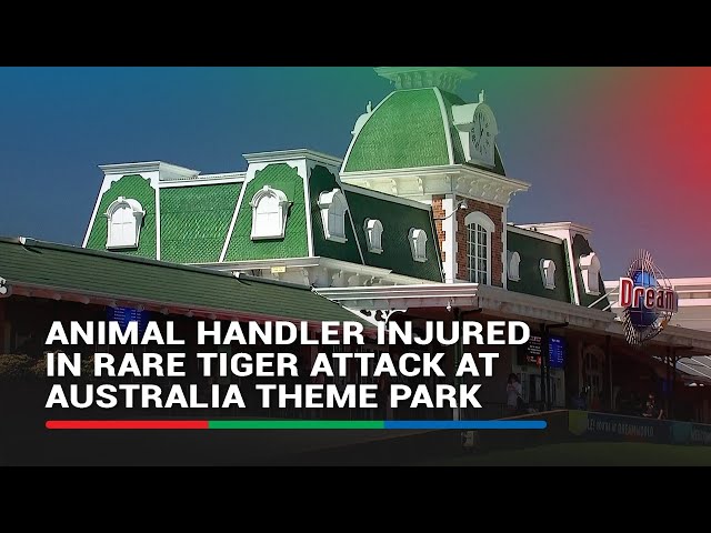 ⁣Animal handler injured in rare tiger attack at Australia theme park