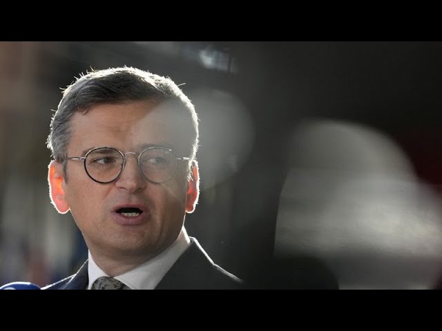 ⁣Ukraine : le ministre des Affaires étrangères annonce sa démission