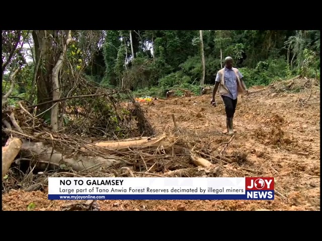 ⁣NoTo Galamsey: Large part of Tano Anwia Forest Reserves decimated by illegal miners