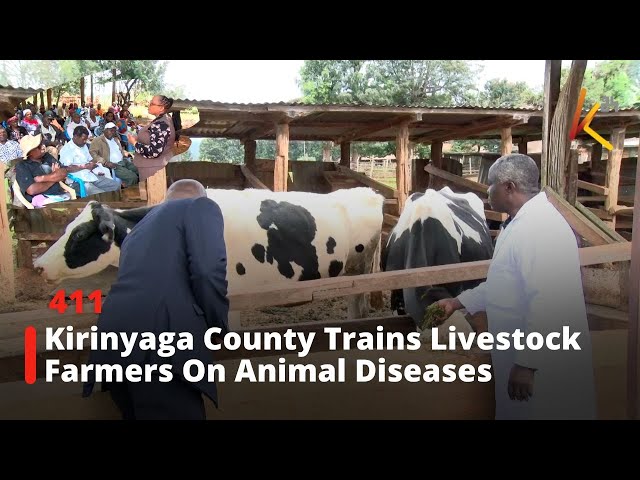 ⁣Kirinyaga County Trains Livestock Farmers On Animal Diseases