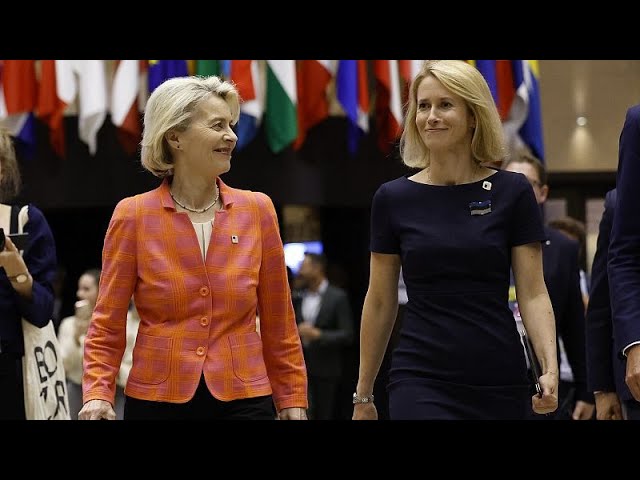 ⁣'If you don't ask, you don't get it': von der Leyen denounces lack of female Com