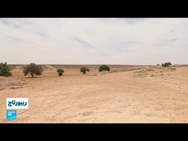 ⁣بعد أن كانت أرضا خصبة.. الجفاف يغزو الجبال بجنوب غرب مدينة طرابلس الليبية! • فرانس 24 / FRANCE 24