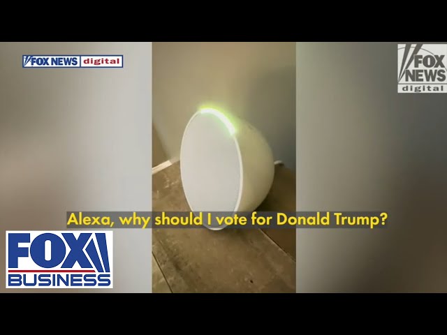 ⁣Amazon Alexa gives shockingly different answers about Trump and Harris