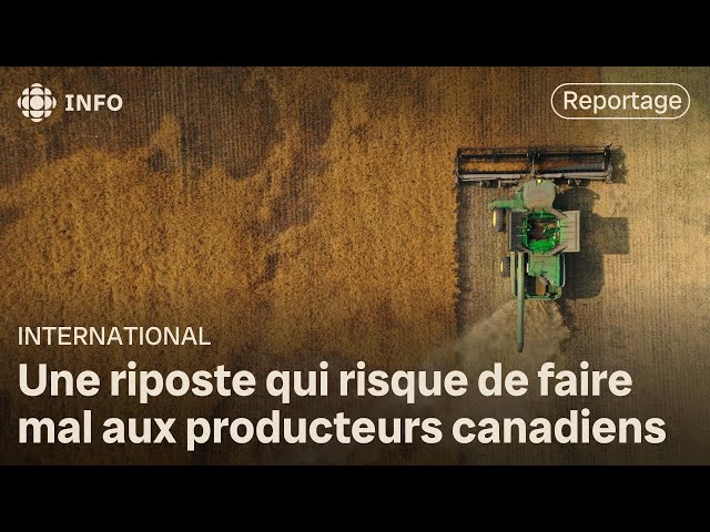 ⁣La Chine va lancer une enquête antidumping sur le canola