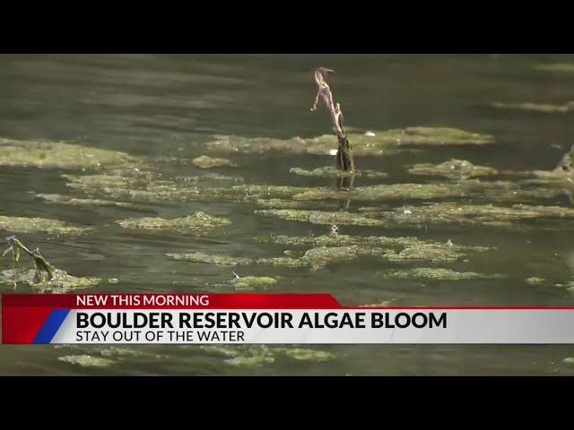 ⁣City of Boulder: ‘Don’t go in the water’