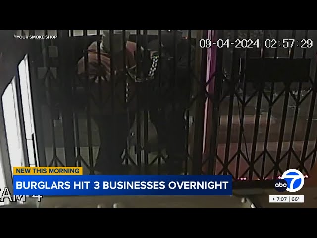 ⁣Burglars rip off security gate to San Fernando Valley smoke shop