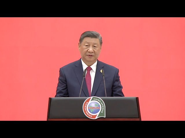 ⁣President Xi: China-Africa friendship remains robust and is growing stronger through generations