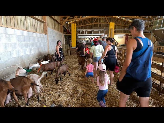 ⁣Initiation à la vie de la ferme au ranch du Pont Urgin à Planrupt