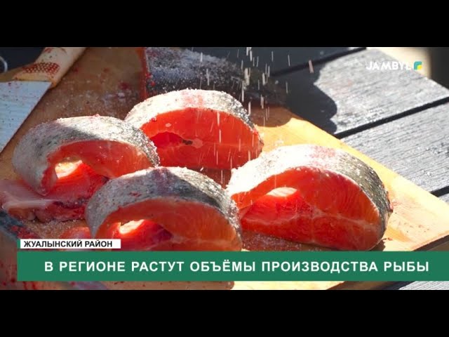 ⁣В регионе растут объёмы производства рыбы