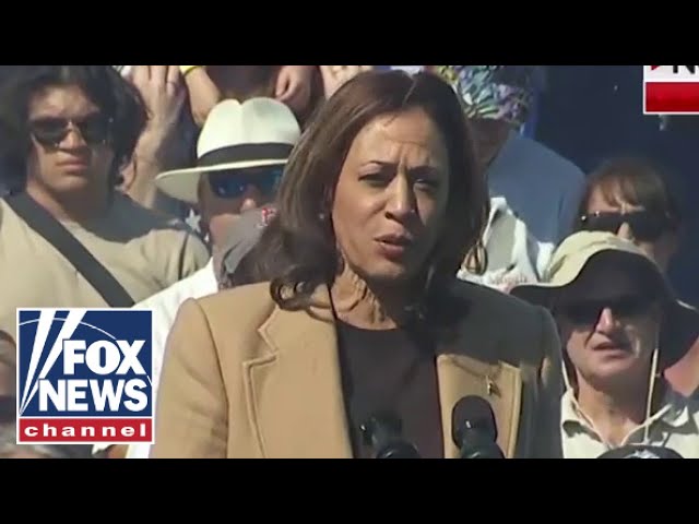 ⁣Kamala Harris on Georgia high school shooting: This is a senseless tragedy