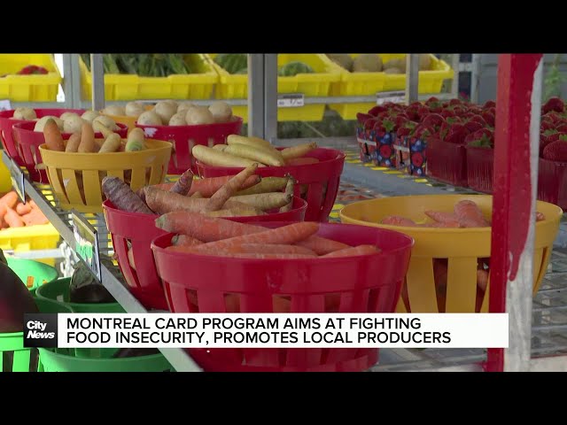 ⁣Montrealers look to new card system fighting food insecurity