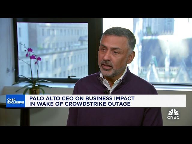 ⁣Palo Alto CEO on CrowdStrike fallout, IBM deal and cybersecurity issues