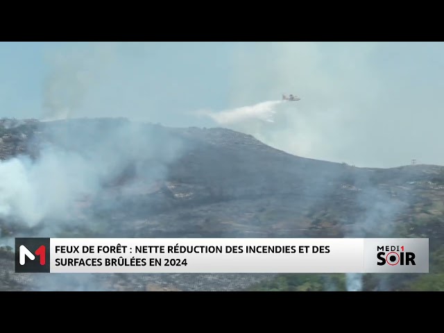 ⁣Feux de forêt au Maroc : nette réduction des incendies et des surfaces brûlées en 2024