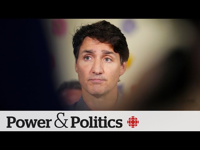 ⁣NDP president says people have 'lost trust' in the Liberals | Power & Politics