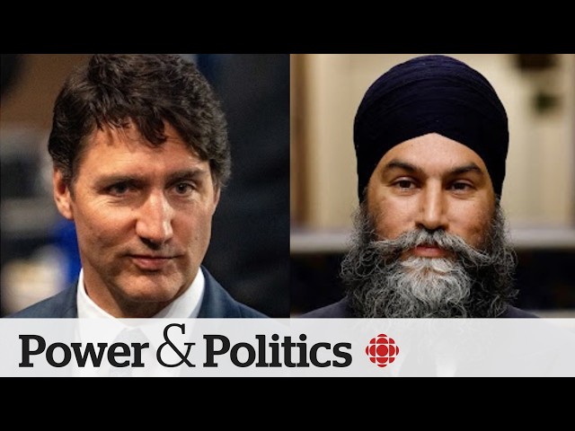 ⁣Who stands to gain from NDP tearing up its deal with Liberals? | Power & Politics