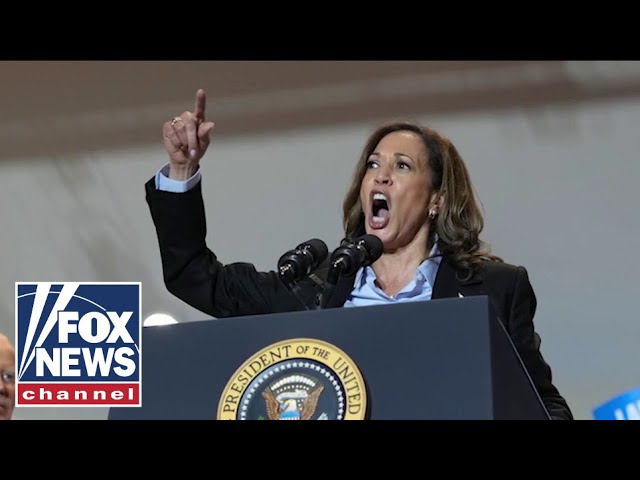 ⁣Some media members are ‘happy’ to hype up Kamala Harris’ record: Dana Perino