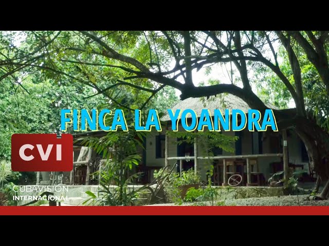 ⁣Finca la Yoandra -Luces de la Ciudad