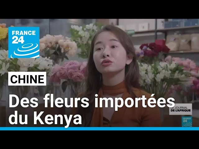 ⁣Chine-Afrique : dans la province du Hunan, des fleurs importées du Kenya • FRANCE 24