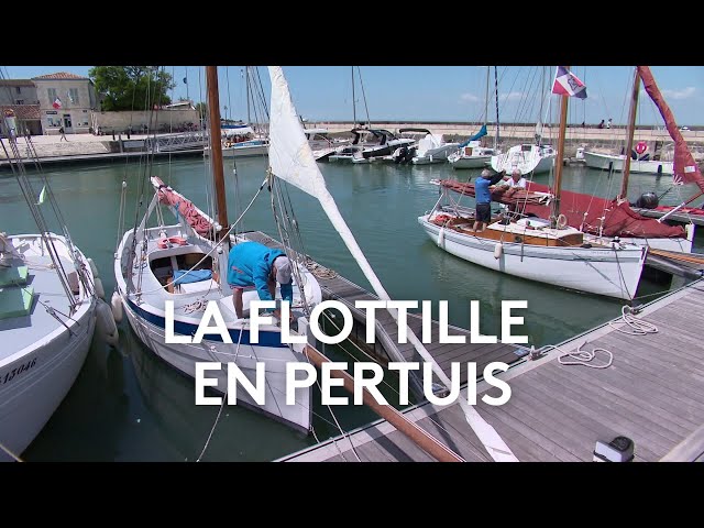 Musée Du Platin - Flottille en Pertuis, des  passionnés de bateaux traditionnels