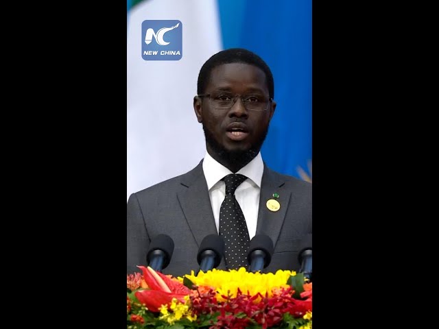 ⁣FOCAC a fine example of partnership with respectful dialogue: Senegalese president