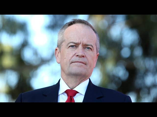 ⁣Sky News host reacts to Bill Shorten’s ‘shocking’ retirement from politics