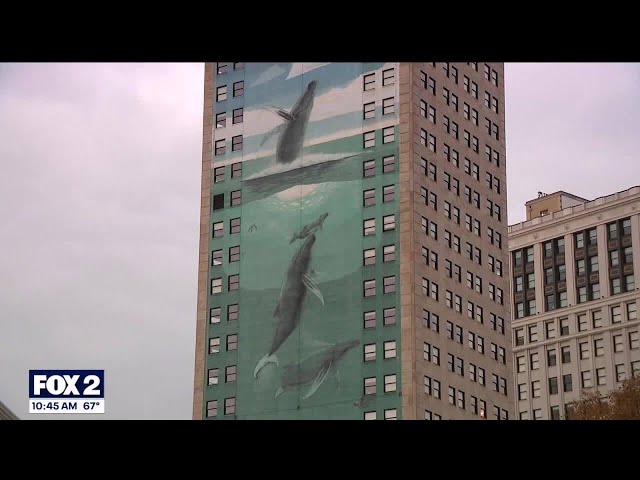 ⁣Whale mural artist frustrated over plans to cover his work again