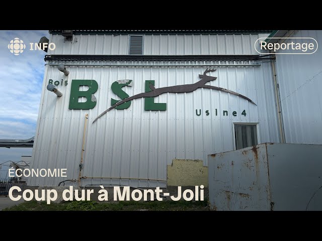 ⁣ne centaine de travailleurs dans l’incertitude après la fermeture de Bois BSL