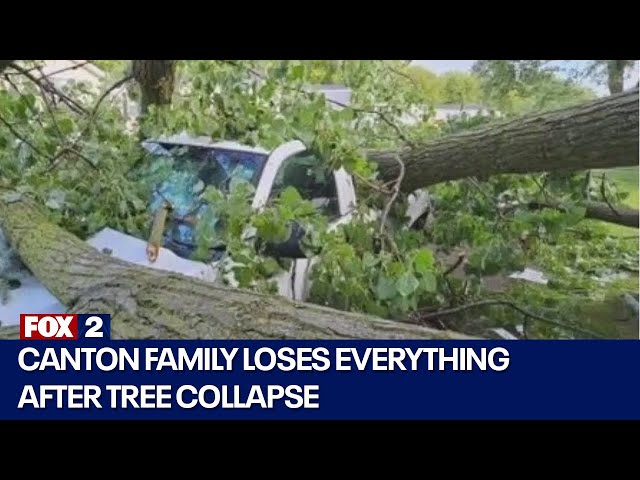 ⁣Canton family loses everything after tree collapse