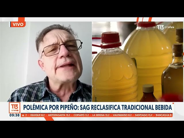 Polémica por el pipeño: SAG reclasifica tradicional bebida