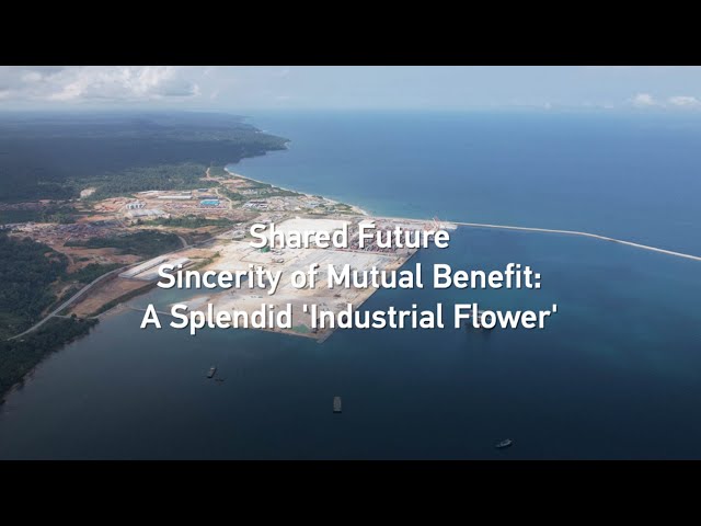 ⁣Sincerity of mutual benefit: Kribi Port a splendid 'industrial flower'