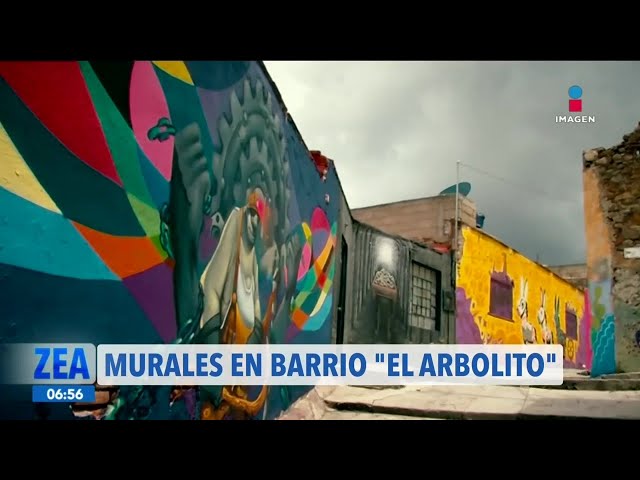 ⁣La vida del barrio “El Arbolito” en Pachuca es contada a través de murales | Noticias Francisco Zea