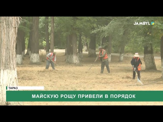 Майскую рощу привели в порядок