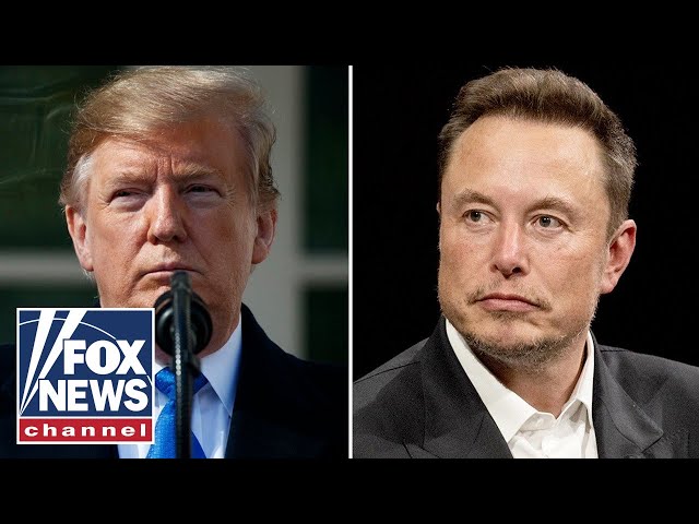 ⁣Trump announces Elon Musk will head audit of 'entire federal government'