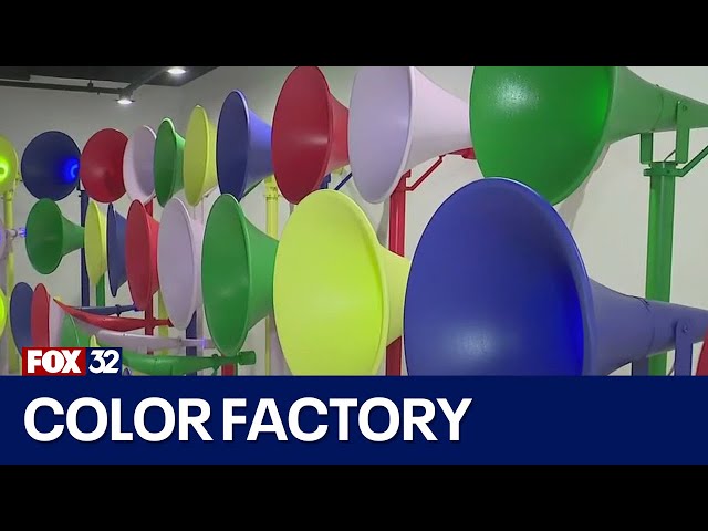 ⁣Color Factory Chicago leads initiative to help color blind guests