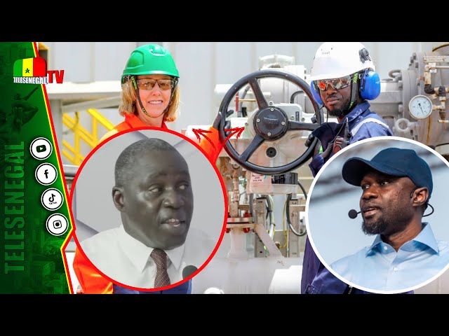 ⁣Conflit État/Woodside : les grosse révélations de Boubacar Mbodj expert en énergie qui accable...