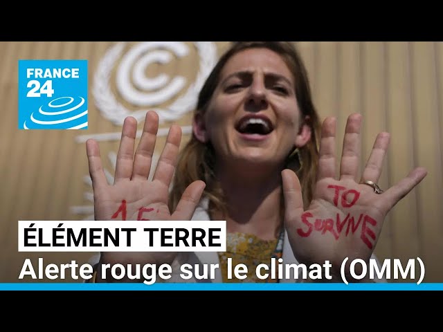 ⁣Alerte rouge sur le climat: août 2024, 15è mois d'affilé de record de température • FRANCE 24