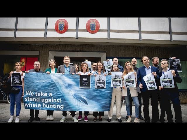 ⁣EU lawmakers call for release of marine activist Paul Watson in Denmark