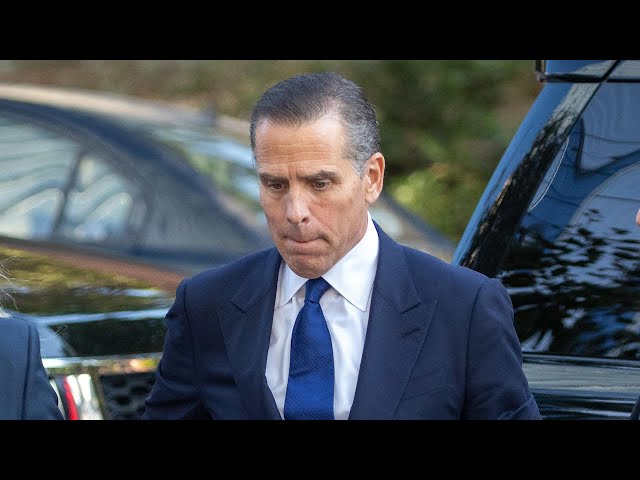 ⁣Hunter Biden pleads guilty to federal tax charges | Special Report