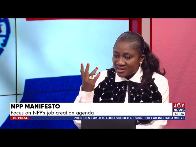 ⁣NPP Manifesto: Focus on NPP's job creation agenda | The Pulse (05-09-24)