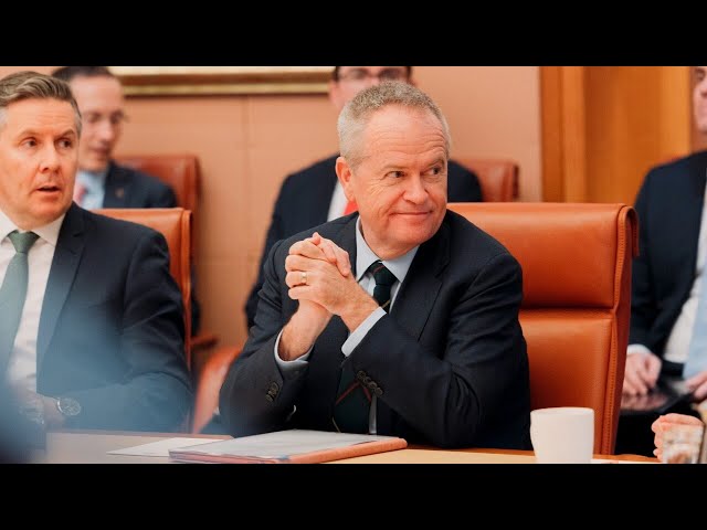 ⁣‘Exceedingly fortunate’: Bill Shorten discusses retiring from politics