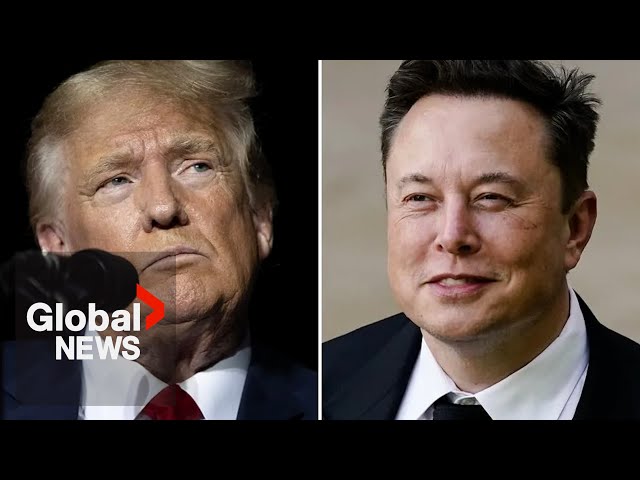 ⁣US election 2024: Trump taps Elon Musk to head “government efficiency” panel if elected