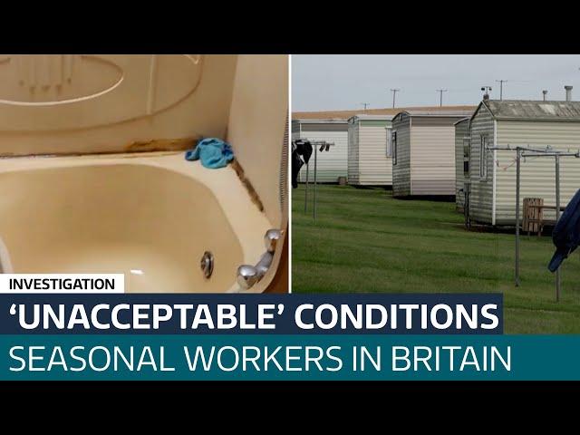 Seasonal workers on British farms being given 'unhealthy and dangerous' accommodation | IT