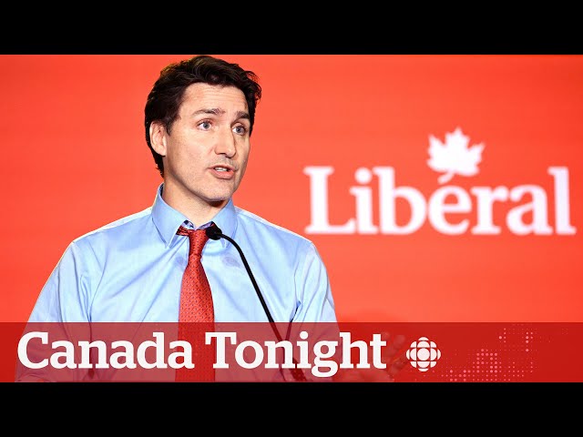 ⁣What’s next for the Liberals after campaign director steps down? | Canada Tonight