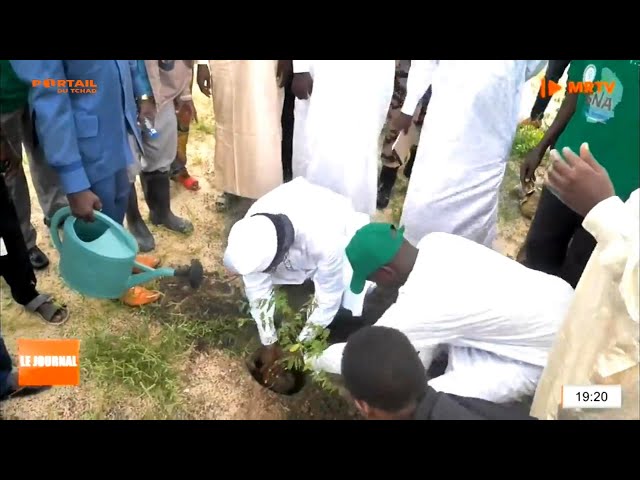 ⁣ENVIRONNEMENT - L'ONG Nationale SAHKAL procède à la mise en terre des plants à Massakory