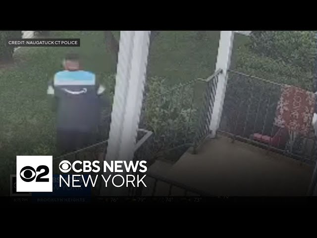 ⁣Porch pirate dressed as Amazon driver caught stealing package