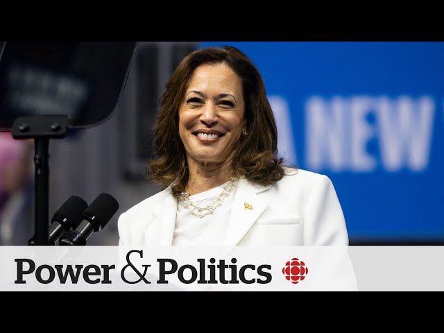 ⁣‘Prophet of presidential elections’ predicts Kamala Harris will win the White House