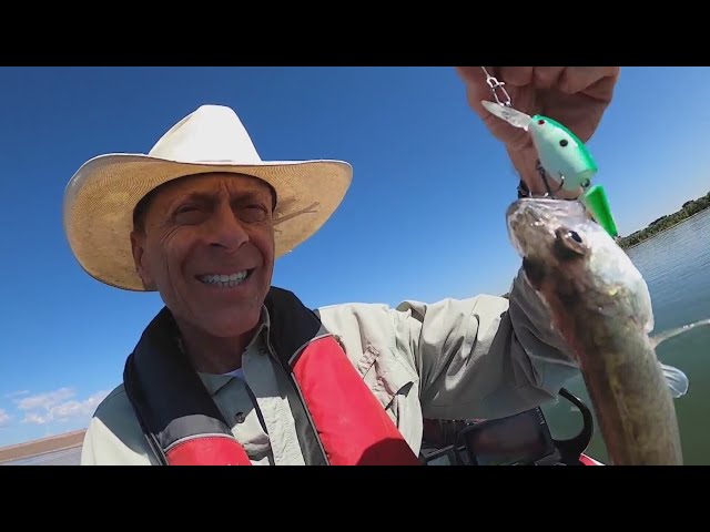 Professional angler also works as fishing guide in Colorado