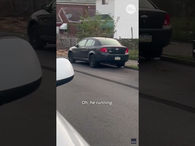 ⁣Watch: Emu takes a stroll down Pennsylvania street #Shorts